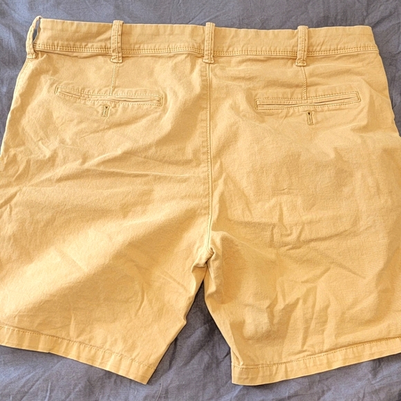 Express Shorts - Picture 2 of 3